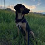 Ersteller:in Alexandra Profilbild