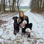 Ersteller:in Sina Profilbild