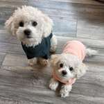 Ersteller:in Sina Profilbild