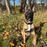 Ersteller:in Sami Profilbild