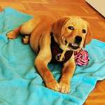 Ersteller:in Nadine Profilbild