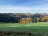 Hundeauslaufgebiet-Auslaufgebiet für Angsthunde-Bild