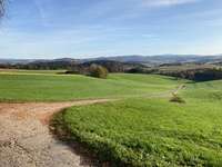 Hundeauslaufgebiet-Feldweg für Angsthunde-Bild