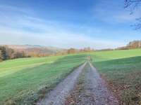 Hundeauslaufgebiet-Auslaufgebiet für Angsthunde-Bild