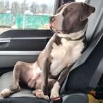 Ersteller:in Chris Profilbild