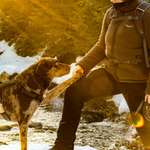 Ersteller:in Annalena Profilbild