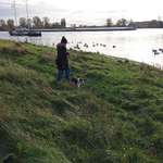 Ersteller:in Noah Profilbild