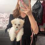 Ersteller:in Jill Profilbild