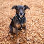 Ersteller:in David Profilbild