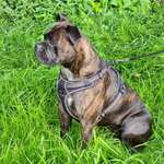 Ersteller:in Jennifer Profilbild