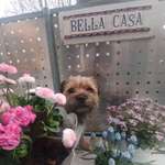 Ersteller:in AJ Profilbild