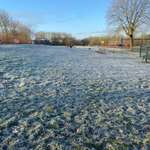 Hundeauslaufgebiet-Hundewiese in Burgsteinfurt-Bild