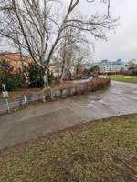 Hundeauslaufgebiet-Hundezone Vogelweidpark-Bild