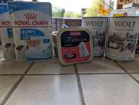 Verschiedene Futter-Beitrag-Bild