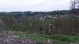 Hundeauslaufgebiet-Linscheid über muhle-Bild