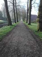 Hundeauslaufgebiet-Evenburg Schlosspark-Bild