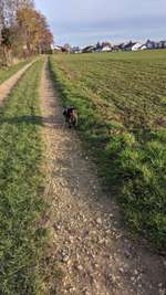 Hundeauslaufgebiet-Deizisau-Bild