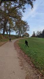 Hundeauslaufgebiet-Deizisau-Bild