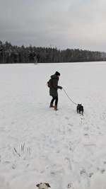 Hundeauslaufgebiet-Felder Hohengehren-Bild