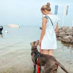 Ersteller:in Alina Profilbild