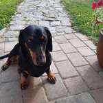 Ersteller:in Liane Profilbild