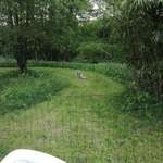 Hundeauslaufgebiet-Hundeauslauf Waldbröl                                     https://www.hundeauslauf-waldbröl.de-Bild