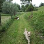 Hundeauslaufgebiet-Hundeauslauf Waldbröl                                     https://www.hundeauslauf-waldbröl.de-Bild