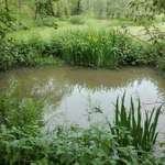 Hundeauslaufgebiet-Hundeauslauf Waldbröl                                     https://www.hundeauslauf-waldbröl.de-Bild