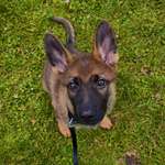 Ersteller:in Muhamed Profilbild