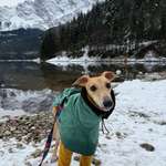 Ersteller:in Karolina Profilbild