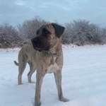 Ersteller:in Allegra Profilbild