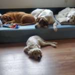 Ersteller:in Kerstin Profilbild