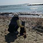 Ersteller:in B. Profilbild