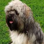 Ersteller:in Cornelia Profilbild