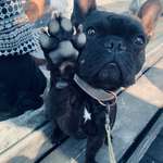 Ersteller:in Anja Profilbild