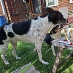 Ersteller:in Sylvia Profilbild