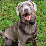 Ersteller:in Cara Profilbild