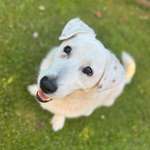 Ersteller:in Anja Profilbild