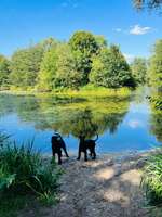 Hundeauslaufgebiet-Huntsteert-Bild