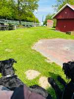 Hundeauslaufgebiet-Kanalweg  Repsholt-Bild