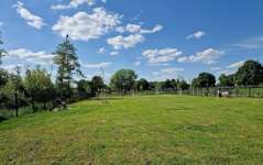 Hundeauslaufgebiet-Hundewiese Erlensee-Bild