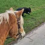 Ersteller:in Jessica Profilbild