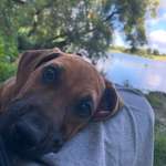 Ersteller:in Pia Profilbild