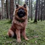 Ersteller:in Andrea Profilbild