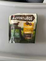 Hundetee und Leckerchen-Beitrag-Bild