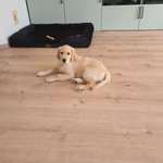 Ersteller:in Kristin Profilbild