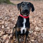 Ersteller:in Mo Profilbild