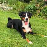 Ersteller:in Sabine Profilbild