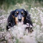 Ersteller:in Susanne Profilbild