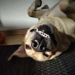 Ersteller:in Patrick Profilbild